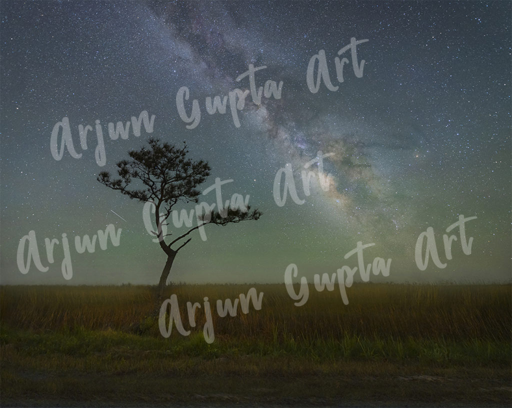 OBX Lone Tree by Arjun Gupta